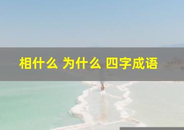 相什么 为什么 四字成语